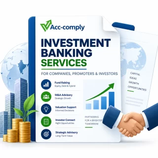 Investment banking services illustration featuring fund raising, M&A advisory, valuation support, investor connections, and strategic advisory.